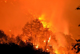 Chile battles devastating wildfires: `We have never seen anything on this scale` 